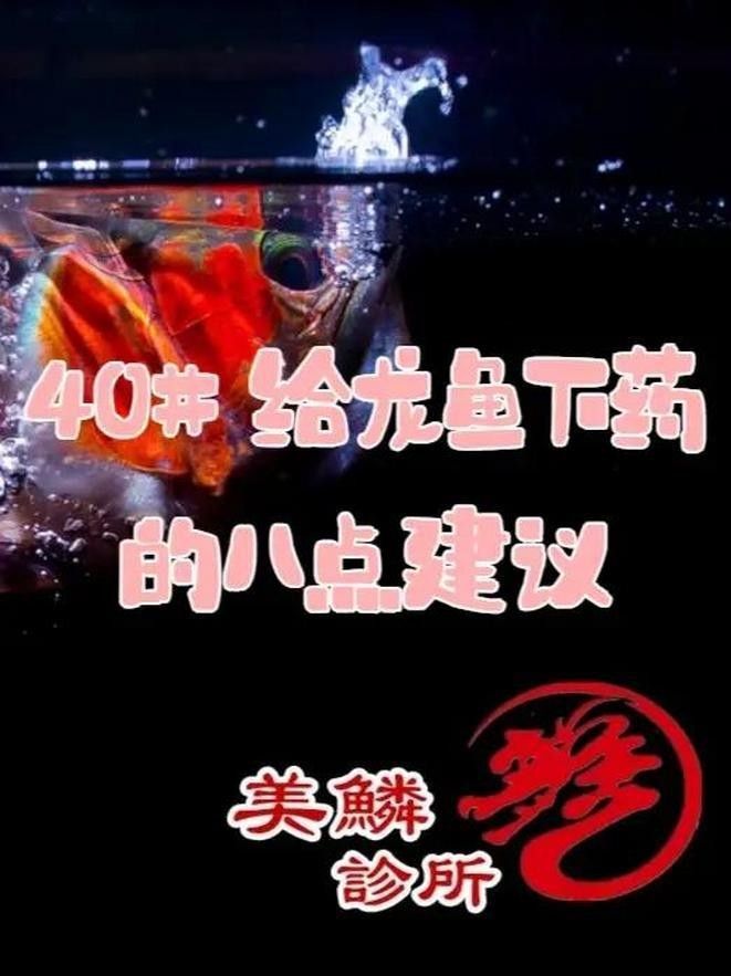 龍魚眼睛有白膜怎么辦呢吃什么藥好 龍魚眼睛有白膜怎么辦呢吃什么藥好 龍魚百科 第12張