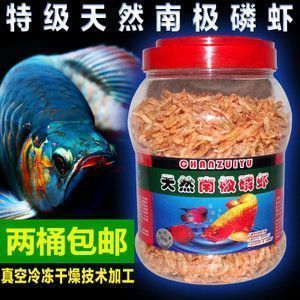 龍魚會吃小虎魚嗎為什么：龍魚會吃小虎魚嗎？