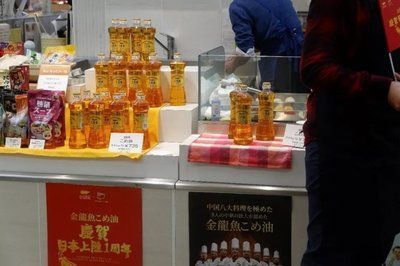 金龍魚銷售待遇（金龍魚銷售崗位招聘） 金龍魚銷售待遇（金龍魚銷售崗位招聘） 龍魚百科 第3張