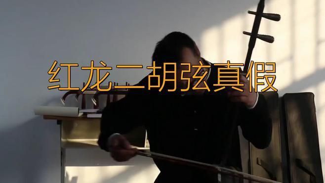 如何辨別真假大湖紅龍? 龍魚百科 第5張 如何辨別真假大湖紅龍? 如何辨別真假大湖紅龍? 龍魚百科 第5張