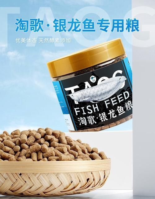銀龍魚可以吃豬肉嗎圖片 銀龍魚可以吃豬肉嗎圖片 龍魚百科 第9張