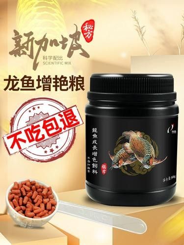 銀龍魚可以吃豬肉嗎圖片 銀龍魚可以吃豬肉嗎圖片 龍魚百科 第21張