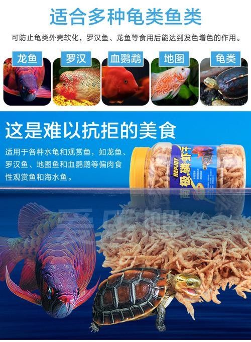 銀龍魚可以吃豬肉嗎圖片 銀龍魚可以吃豬肉嗎圖片 龍魚百科 第23張