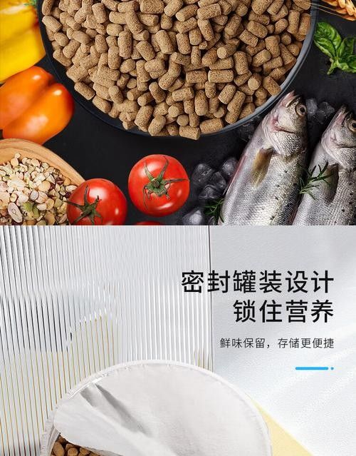 銀龍魚可以吃豬肉嗎圖片 銀龍魚可以吃豬肉嗎圖片 龍魚百科 第24張