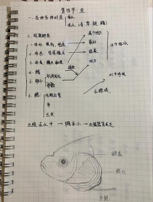 金龍魚總是嘴一張一合