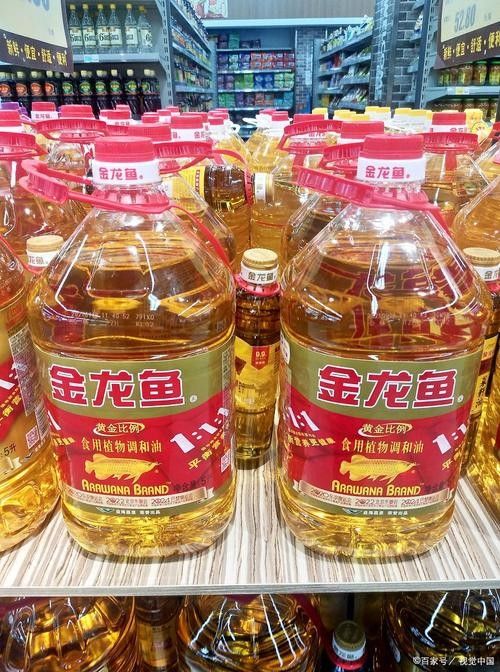 陽江金龍魚經(jīng)銷商 陽江金龍魚經(jīng)銷商 龍魚百科 第9張