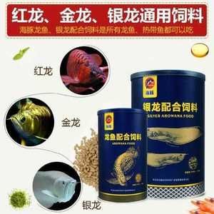 金龍魚vs銀龍魚：金龍魚和銀龍魚哪個好養金龍魚和銀龍魚的區別 金龍魚vs銀龍魚：金龍魚和銀龍魚哪個好養金龍魚和銀龍魚的區別 龍魚百科 第4張