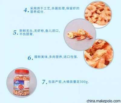 金龍魚vs銀龍魚:金龍魚和銀龍魚哪個好養金龍魚和銀龍魚的區別 龍魚百科 第1張 金龍魚vs銀龍魚:金龍魚和銀龍魚哪個好養金龍魚和銀龍魚的區別 金龍魚vs銀龍魚:金龍魚和銀龍魚哪個好養金龍魚和銀龍魚的區別 龍魚百科 第1張