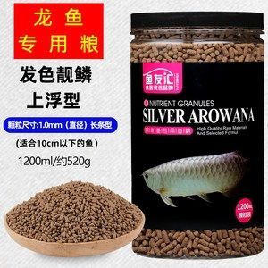 金龍魚vs銀龍魚:金龍魚和銀龍魚哪個好養金龍魚和銀龍魚的區別 龍魚百科 第5張 金龍魚vs銀龍魚:金龍魚和銀龍魚哪個好養金龍魚和銀龍魚的區別 金龍魚vs銀龍魚:金龍魚和銀龍魚哪個好養金龍魚和銀龍魚的區別 龍魚百科 第5張