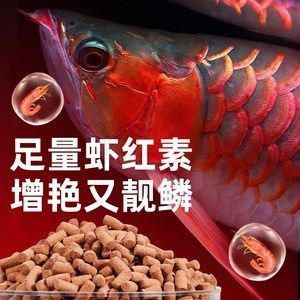 金龍魚vs銀龍魚:金龍魚和銀龍魚哪個好養金龍魚和銀龍魚的區別 龍魚百科 第6張 金龍魚vs銀龍魚:金龍魚和銀龍魚哪個好養金龍魚和銀龍魚的區別 金龍魚vs銀龍魚:金龍魚和銀龍魚哪個好養金龍魚和銀龍魚的區別 龍魚百科 第6張