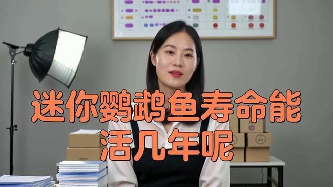 龍魚吃蝦的好處（龍魚吃蝦有哪些好處？） 龍魚吃蝦的好處（龍魚吃蝦有哪些好處？） 龍魚百科 第3張