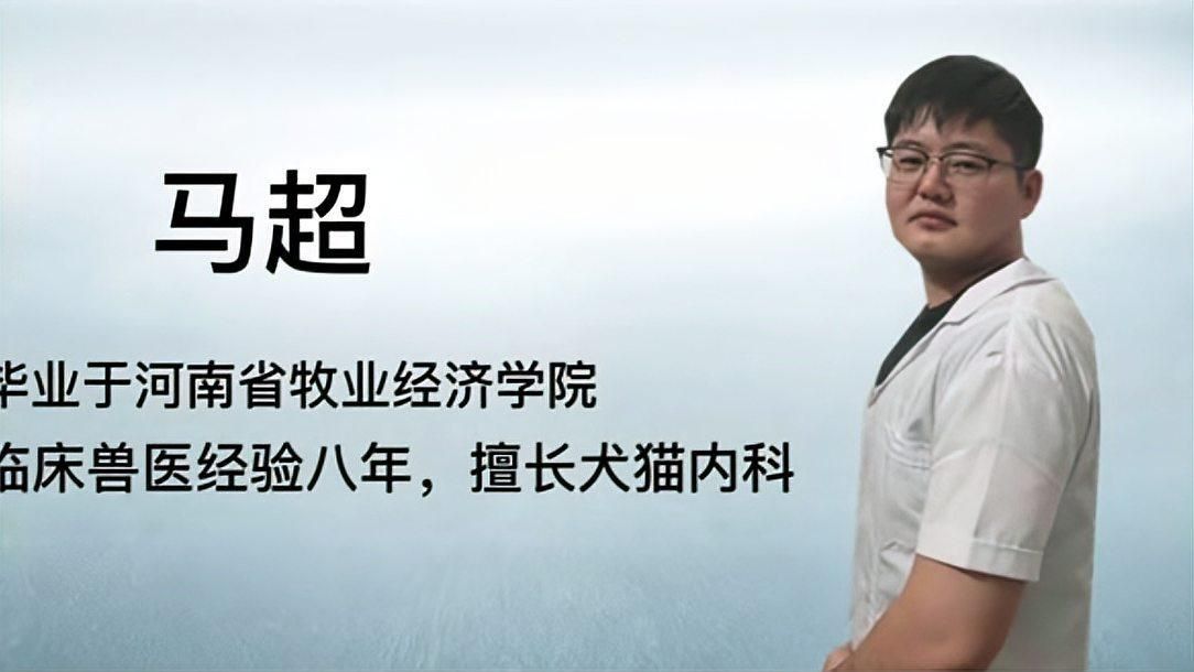 龍魚吃蝦的好處（龍魚吃蝦有哪些好處？） 龍魚吃蝦的好處（龍魚吃蝦有哪些好處？） 龍魚百科 第4張