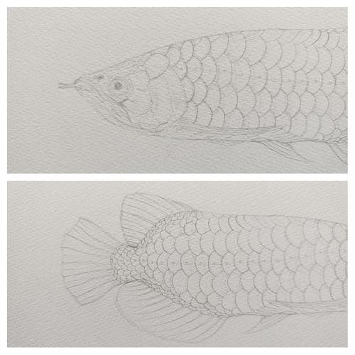 國畫龍魚圖片大全
