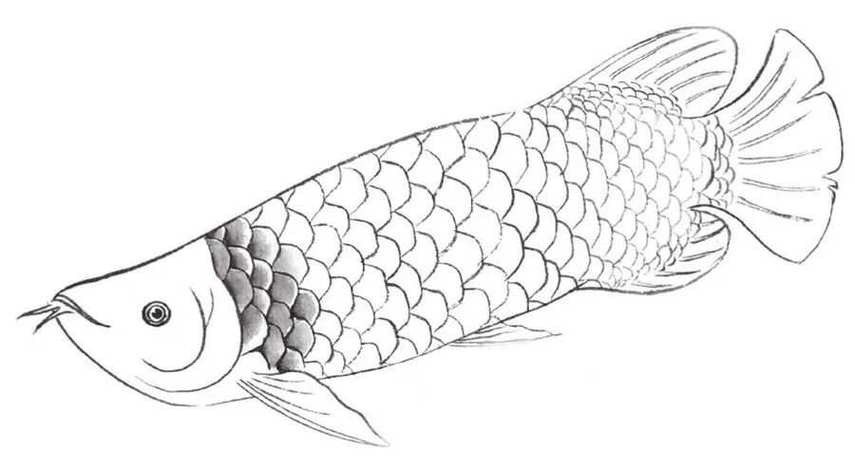 國畫龍魚圖片大全