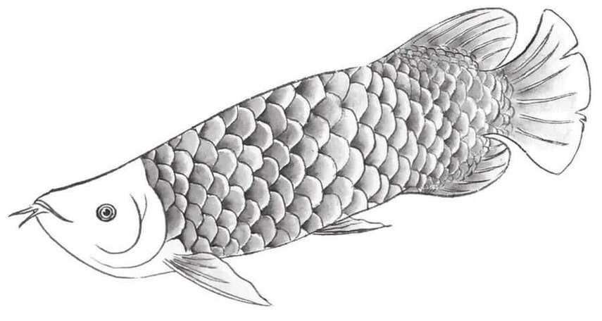 國畫龍魚圖片大全