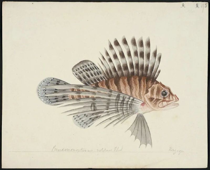 國畫龍魚圖片大全