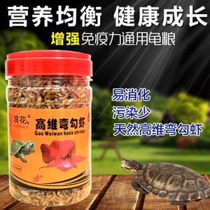 金龍魚飼料可以喂龜嗎？：金龍魚飼料可以喂給龜嗎？