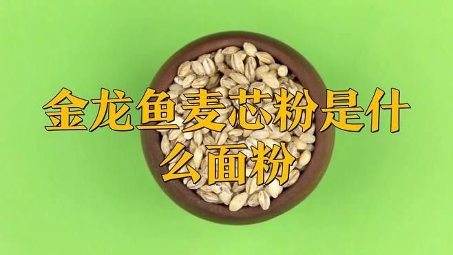 金龍魚麥芯粉適合做什么