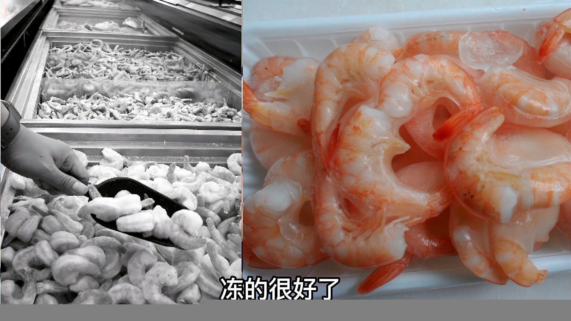 龍魚5個月不吃食怎么辦 龍魚5個月不吃食怎么辦 龍魚百科 第5張