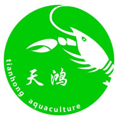 10cm金龍魚魚苗價格多少錢一條：10cm金龍魚魚苗價格 10cm金龍魚魚苗價格多少錢一條：10cm金龍魚魚苗價格 龍魚百科 第1張