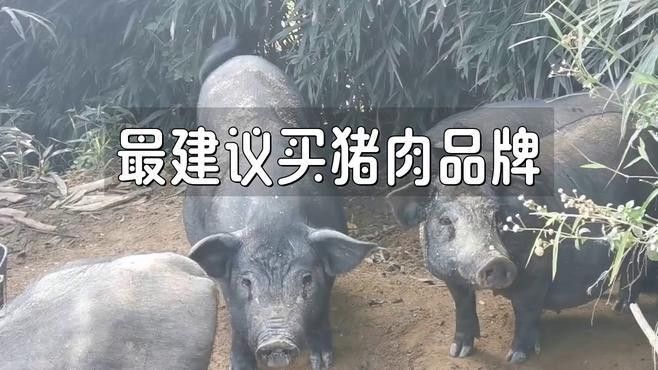 這些品牌或養(yǎng)殖場(chǎng)中哪個(gè)口碑最好？