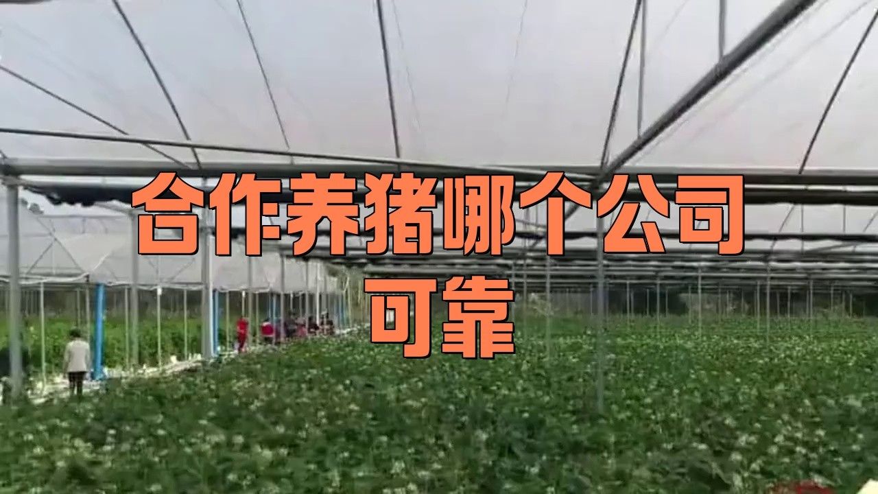 這些品牌或養(yǎng)殖場(chǎng)中哪個(gè)口碑最好？