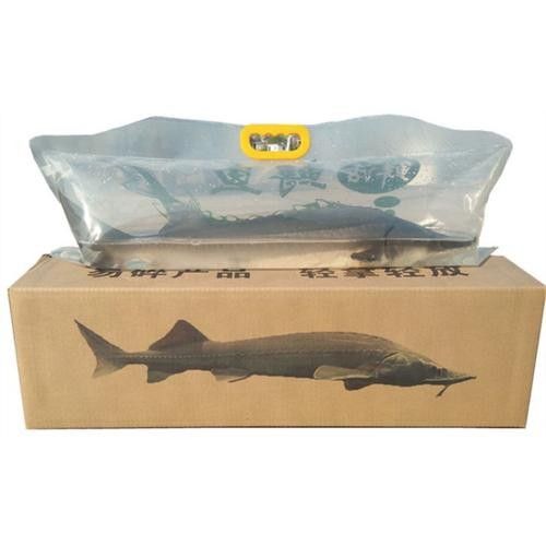 龍魚海鮮 龍魚海鮮 龍魚百科 第2張