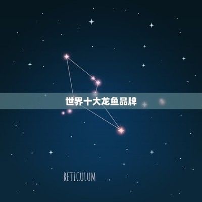 龍魚魚缸十大排名