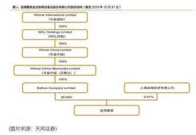金龍魚的實際控股人,金龍魚的實際控制人是誰? 龍魚百科 第5張 金龍魚的實際控股人,金龍魚的實際控制人是誰? 金龍魚的實際控股人,金龍魚的實際控制人是誰? 龍魚百科 第5張