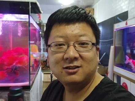 黃金河虎和龍魚混養(yǎng)會不會打架