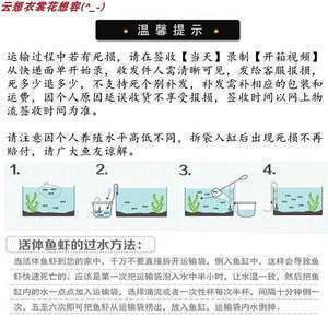 龍魚寄快遞怎么包裝？：如何快速檢測運輸水質