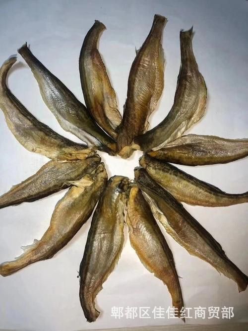 小黃龍魚多少錢一條圖片大全