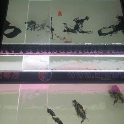 nec龍魚燈：nec龍魚燈怎么關(guān)閉