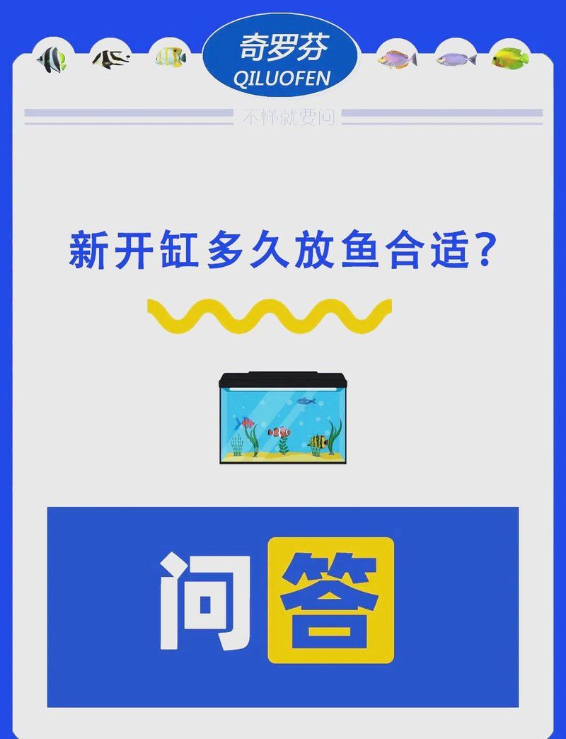 新缸消毒后多久可以養龜增色龍魚？