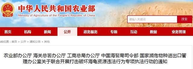 賣龍魚違法嗎怎么處理