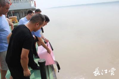 賣龍魚違法嗎怎么處理