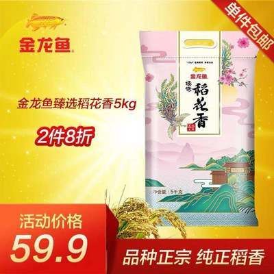 正宗金龍魚多少錢一條：正宗金龍魚多少錢一條正宗金龍魚多少錢一條 正宗金龍魚多少錢一條：正宗金龍魚多少錢一條正宗金龍魚多少錢一條 龍魚百科 第3張
