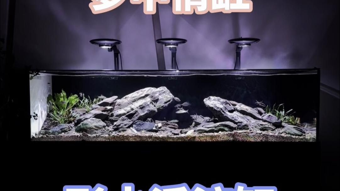 水鴉魚缸的用戶評價如何？