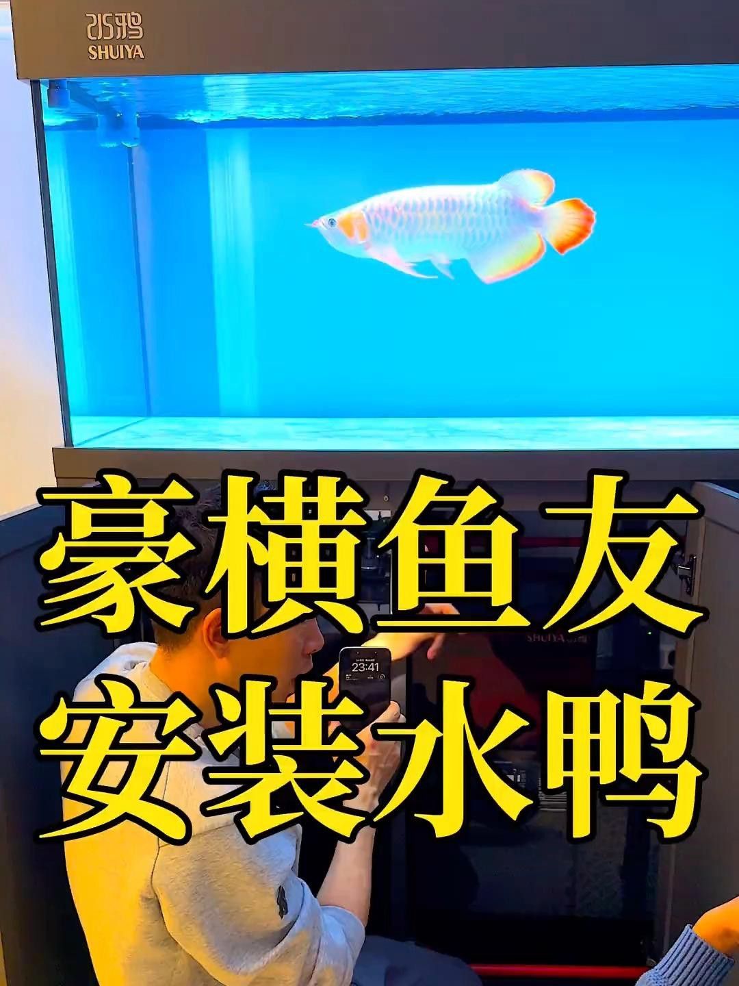 水鴉魚缸的用戶評價如何？