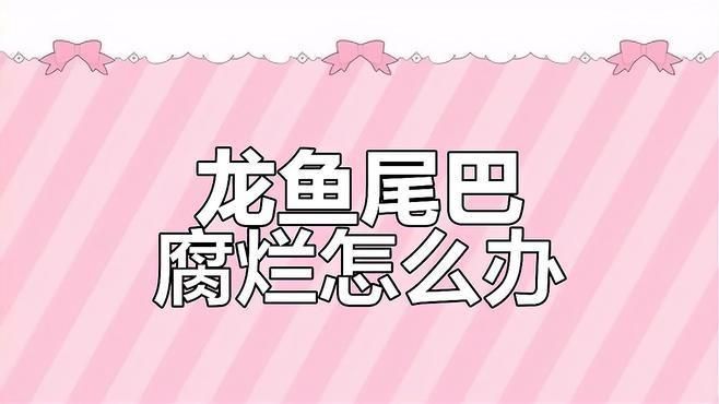 如何早期發(fā)現(xiàn)龍魚真菌感染？