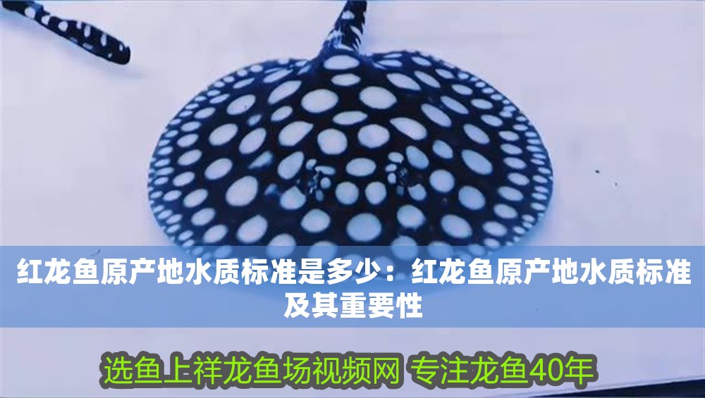 紅龍魚原產(chǎn)地水質(zhì)標(biāo)準(zhǔn)是多少：紅龍魚原產(chǎn)地水質(zhì)標(biāo)準(zhǔn)及其重要性