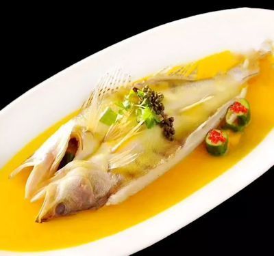 河邊里的土龍魚（土龍魚是什么）