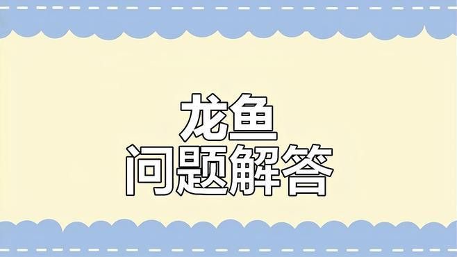 如何判斷龍魚是否需要鰓蓋整形？