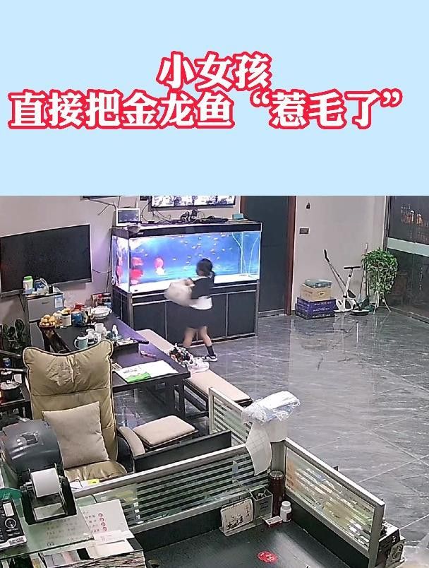 給我推薦一些金龍魚的視頻