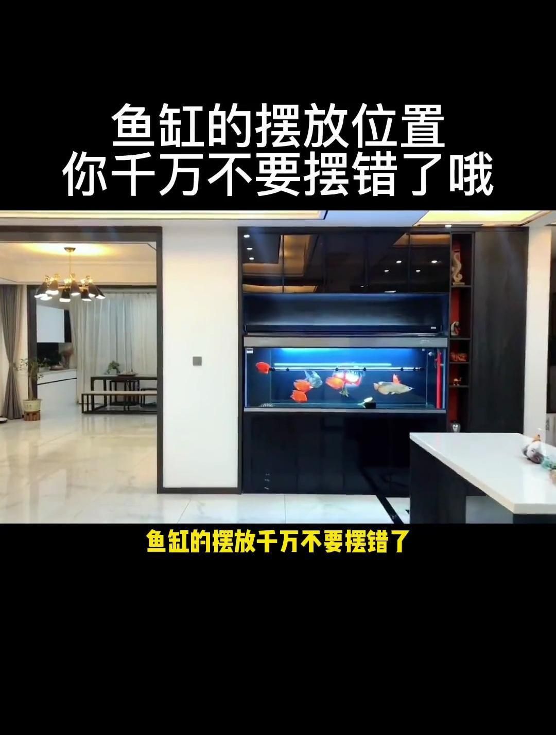 如何選擇適合南方擺放的魚缸？