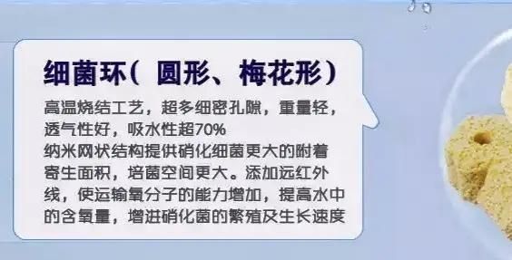 錦鯉最怕三個濾材