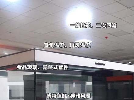 龍魚缸什么牌子的好用又實(shí)惠