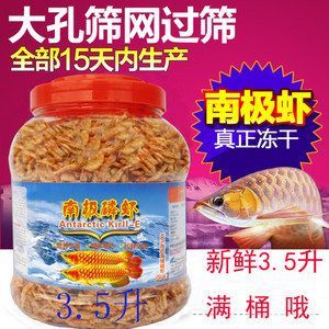 金龍魚吃豐年蝦嗎：金龍魚可以吃豐年蝦嗎 金龍魚吃豐年蝦嗎：金龍魚可以吃豐年蝦嗎 龍魚百科 第2張