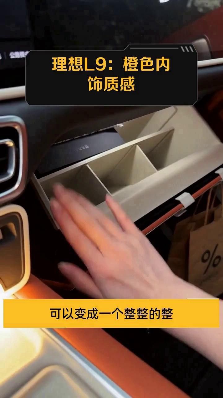 紅龍旗未來有哪些內(nèi)飾顏色趨勢？ 紅龍旗未來有哪些內(nèi)飾顏色趨勢？ 龍魚百科 第2張