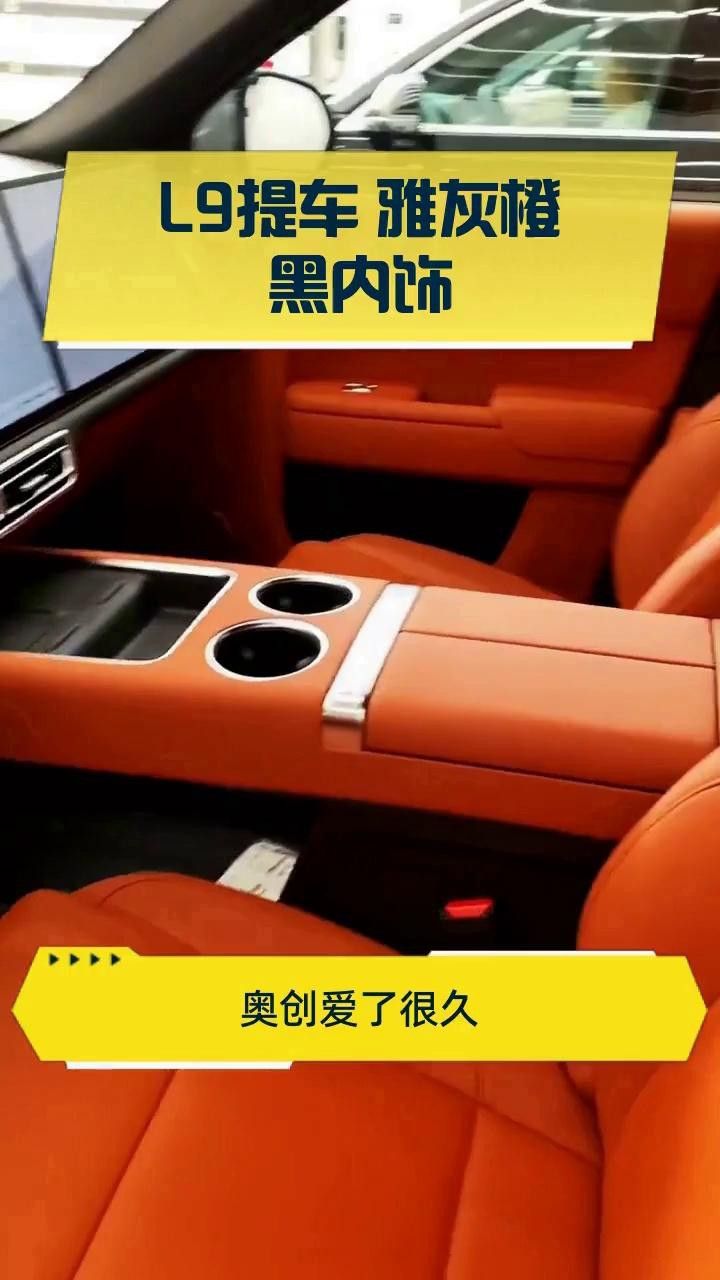 紅龍旗未來有哪些內(nèi)飾顏色趨勢？ 紅龍旗未來有哪些內(nèi)飾顏色趨勢？ 龍魚百科 第4張